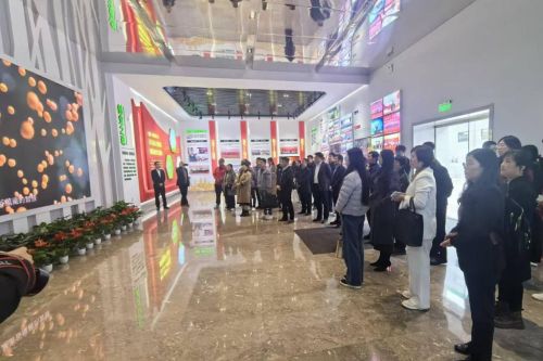 圖片10 (2) 圖片10 (2)