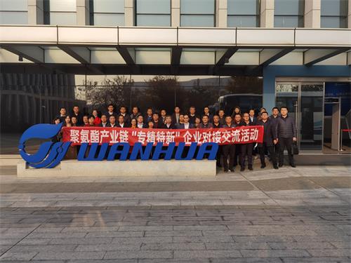 聚氨酯產(chǎn)業(yè)鏈“專精特新”企業(yè)對接交流活動在煙臺舉行