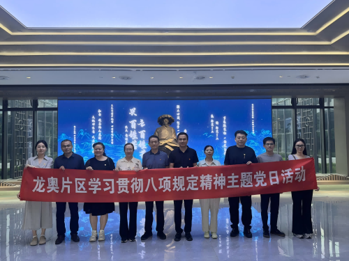 龍奧片區(qū)黨建工作機(jī)構(gòu)組織召開黨建工作指導(dǎo)員見面會(huì)暨深入貫徹中央八項(xiàng)規(guī)定精神學(xué)習(xí)教育主題黨日活動(dòng)