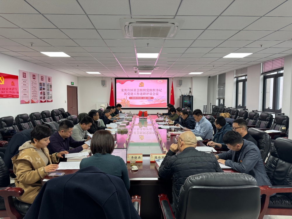 龍奧片區(qū)社會(huì)組織黨組織書(shū)記抓黨建工作述職評(píng)議會(huì)議順利召開(kāi)